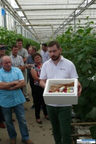 Paweł Kloc prezentuje produkt Spidex, zawierający dobroczynka szklarniowego, który żywi się m.in. przędziorkiem chmielowcem