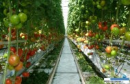 Ducovery F1DeRuiter