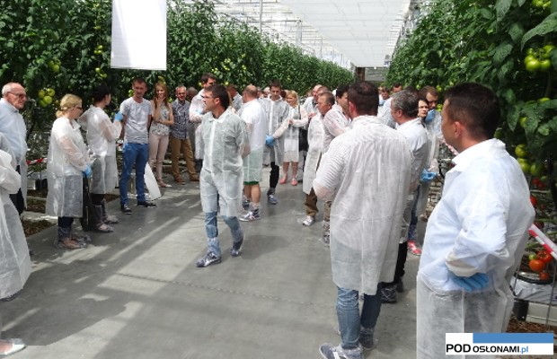 Kawka, Monsanto, ludzie