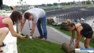 Swiatowe Dni Mlodziezy Krakow 2016_florysci wolontariusze_dekoracja oltarza Blonia krakowskie