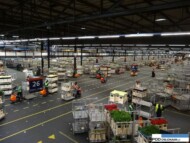 Royal FloraHolland