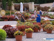 Dni Otwarte Florensis_Wojslawice2016_Begonie