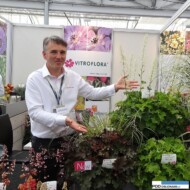 Tomasz-Michalik na stoisku Vitroflory prezentuje medalowe żurawki z grupy Rex_Plantarium 2016