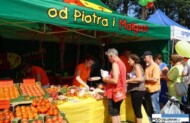 Piotr i Małgosia pomidory
