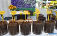 Asortyment podłoży firmy Floragard