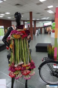 flowerExpo Poland Warszawa 2016__loteria-dla-kwiaciarzy_zorganizowana-przez-firme-barendsen_suknia z celozji
