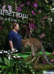 stoisko-hurtowni-moscwietorg_FlowersExpo Moskwa 2016