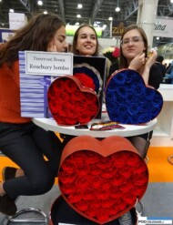 Zakonserwowane (i barwione na niebiesko) róże z Ekwadoru o co najmniej 3-letniej trwałości, oferowane po kilkadziesiąt w pudełkach