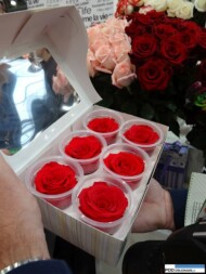 roze-konserwowane_florastar_Ekwador_FlowersExpo Moskwa 2016