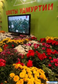 cwety-udmurti_FlowersExpo Moskwa 2016