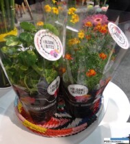 Bloom-Bites_FloraHolland Trade Fair Aalsmeer 2016