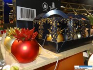 X-Wish_FloraHolland Trade Fair Aalsmeer 2016