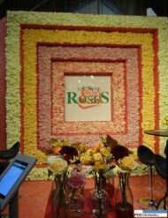 Van d. Berg Roses_FloraHolland-Trade-Fair-Aalsmeer-2016