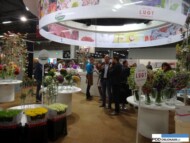 Premium Flowers - jedna z grup producentów holenderskich, które zaprezentowały się w Aalsmeer