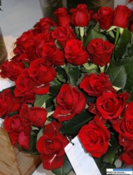 Rosa_Red Tower__rosen-tantau_IFTF 2016