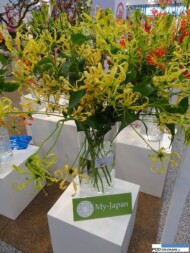 Gloriosa superba 'Lutea' - jeden z symboli stoiska Japonii