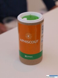 Aphiscout - nowy preparat biologiczny do zwalczania mszyc_Koppert_IFTF 2016