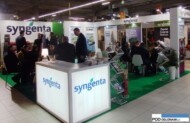 Stoisko firmy Syngenta