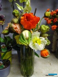 Maki sprowadzone z Włoch_Kwiaciarnia Floristica Krakow_8 marca_AC