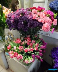 Goździki z Ameryki Płd i tulipany z Polski_Kwiaciarnia Floristica Krakow_8 marca_AC