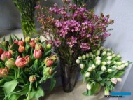 Kwiaciarnia Floristica Krakow_8 marca_Chamelaucium i tulipany_AC