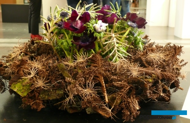 Kompozycja autorstwa Piotra Salachny