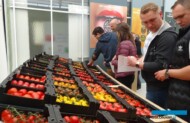 Grupa ogrodników z Polski podczas krótkiej wizyty w Tomato World