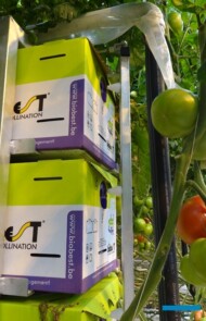 "Patent" na zamykanie uli z trzmielami (AW)