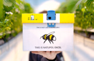Ul Natupol Excel