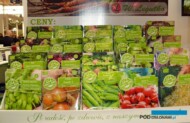 Nasiona Bio do produkcji kiełków
