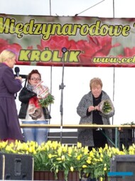 Konkurs ukladania kwiatow tulipana na czas_MTT 2017_Chrzypsko-Wielkie_fot. A-Cecot