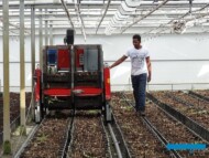 Lilie_maszyna do zwozenia skrzynek z cebulami po skonczonej uprawie2_Klaver-Lily-Group