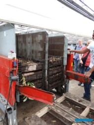 Lilie_maszyna do zwozenia skrzynek z cebulami po skonczonej uprawie_Klaver-Lily-Group