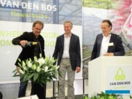 Paul Deckers_Tonny-de-Looff_Willem-Jan-van-Graas_ Van-den-Bos_Dutch-Lily-Days-2017_Lilium_Roselily-Aretha