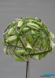 Geertje-Stienstra_bukiet-slubny w stylu własnym_Dutch-Lily-Days-2017