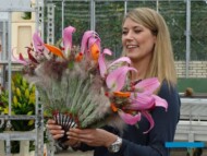 Sara-Lisa-Ludvigsson_bukiet slubny wlasny styl_Dutch-Lily-Days-2017