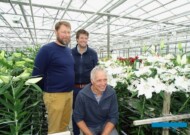 Jan-Willem Mantel, Michiel Ruiter i Wijnand van der Kooij z firmy De Jong Lelies_Dutch-Lily-Days 2017