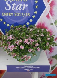 Calibrachoa MiniFamous ‘Double PinkTastic’