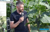 Marcin Piechota