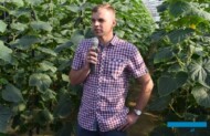 Piotr Dutkowski