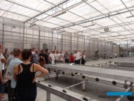 Jerzy Starzyński, prezes Plantpolu oprowadza gości Dni Otwartych po najnowszej szklarni w gospodarstwie w Zaborzu