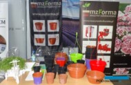 Kolorowa oferta doniczek z firmy MZ-Forma
