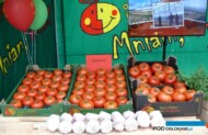 Pomidory Edamso F1 z gospodarstwa Piotra i Małgosi
