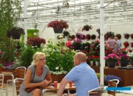 FlowerTrials-2017_Syngenta-Flori-Pro_Services