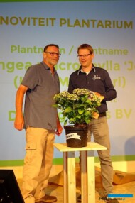 Tegoroczna najlepsza nowość roślinna targów Plantarium - Hydrangea macrophylla Lady Mata Hari (z prawej - przedstawiciel firmy De Jong Plants BV, hodowcy tej odmiany