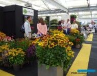 Na targach Plantarium 2017 wyróżniały się byliny