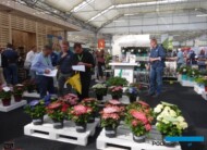 Plantarium-2017