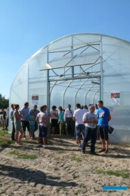 Podczas Dnia Papryki zaprezentowano uprawę w bloku foliowym z firmy Farmer CO
