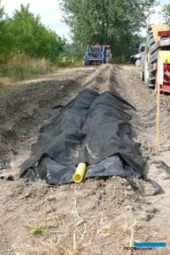 Firma Haygrove prezentowała rozwiązanie pozwalające na bezglebową uprawę papryki