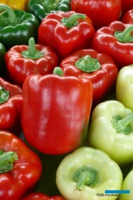 Papryka typu blok - Sprinter F1